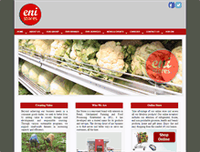 Tablet Screenshot of enistores.com
